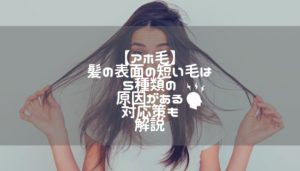 【アホ毛】髪の表面の短い毛は5種類の原因がある｜対応策も解説